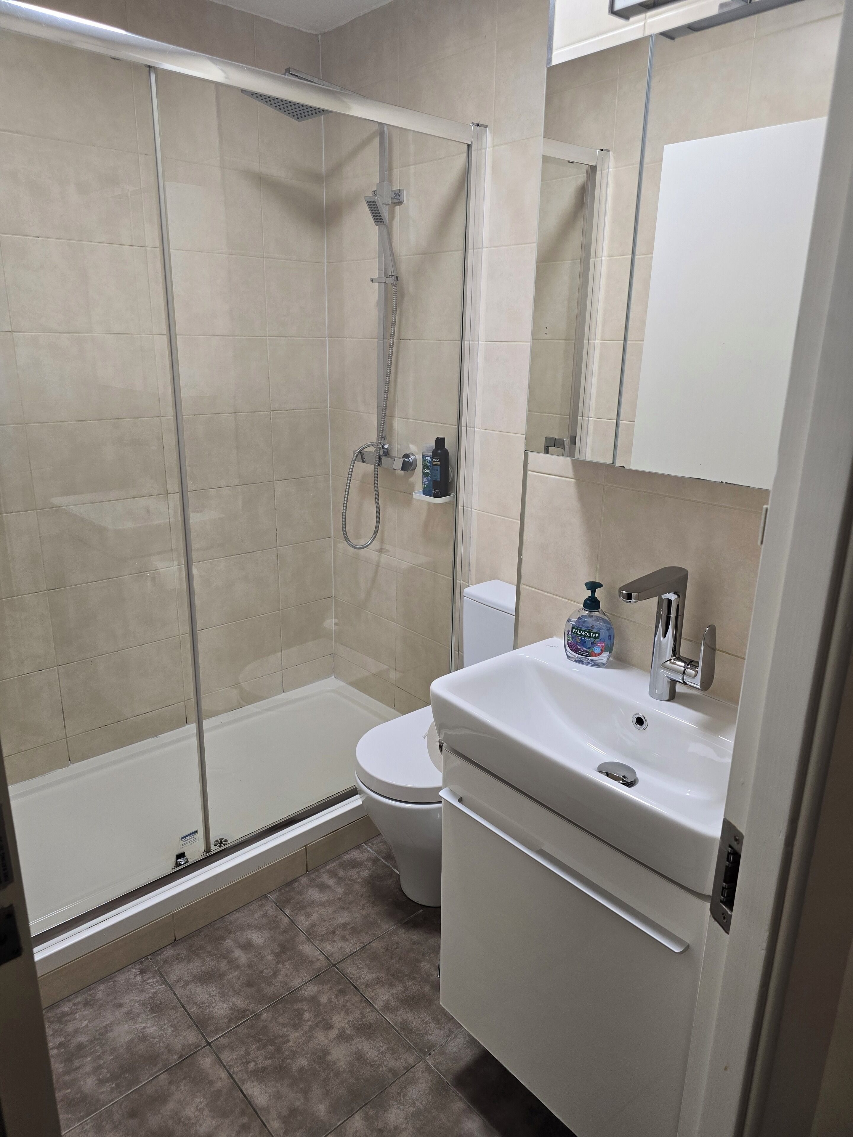 Apartment | Bathroom | Shower, free toiletries, hair dryer, towels