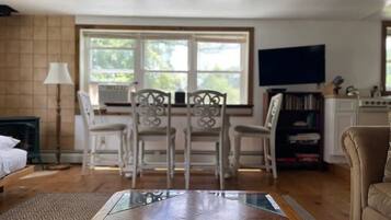 TV, DVD player, books, video library