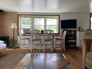 TV, DVD player, books, video library