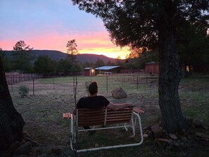 Property grounds - The Suite at Pine Ranch in Pine AZ where Elk and Deer visit on a regular basis! (Pine)