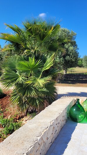 Property grounds - Villa Dolce Far Niente Ostuni (Puglia)