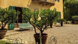 A courtyard with a table set for breakfast, surrounded by potted plants and a building with green shutters. - VILLA PEDONE  (Lucca)