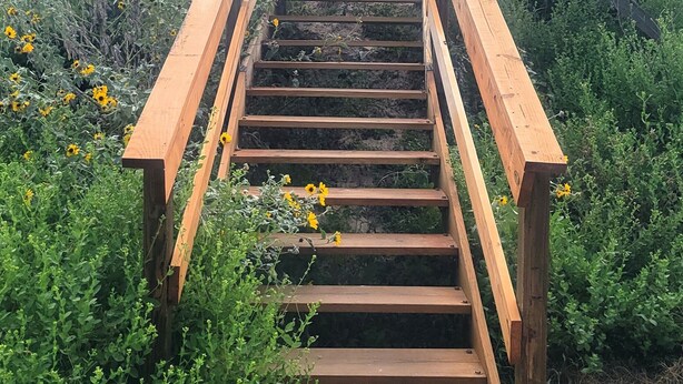 A wooden staircase leading up a hill, surrounded by greenery and wildflowers. - Mai Tide--4 BR House, Sleeps 11, Close to Beach, Dogs OK, Tons of Parking! (Port Aransas)
