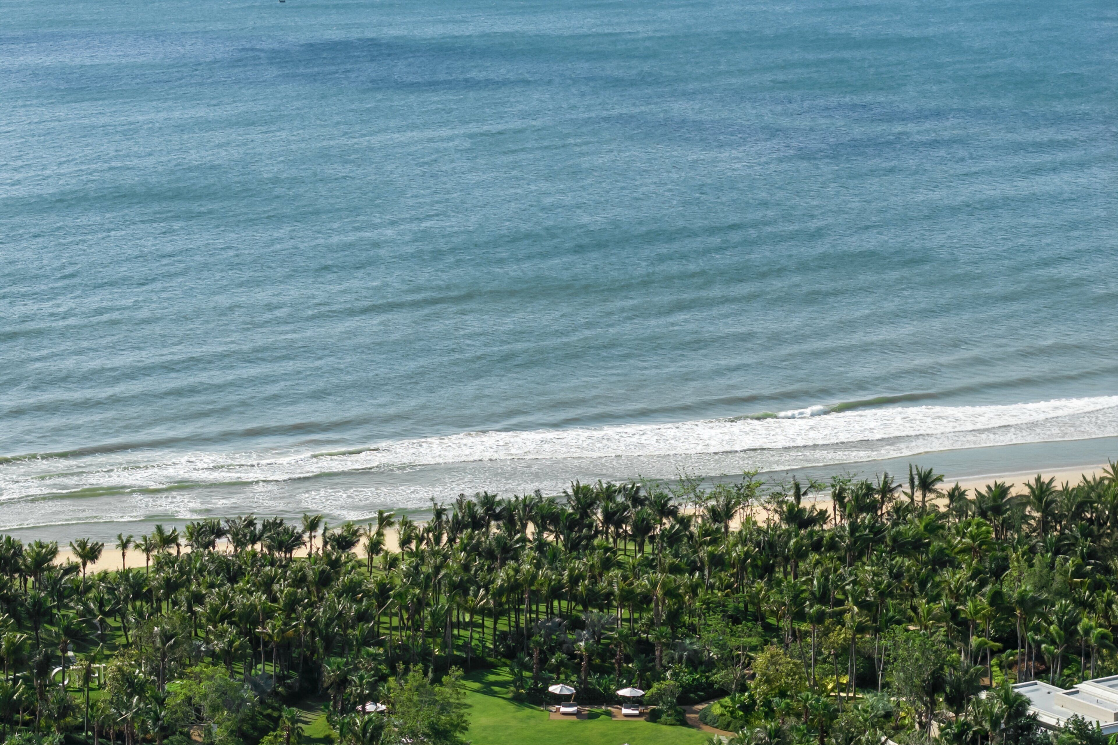 Vista costera con playa, palmeras y un edificio con techo y algunas sombrillas.