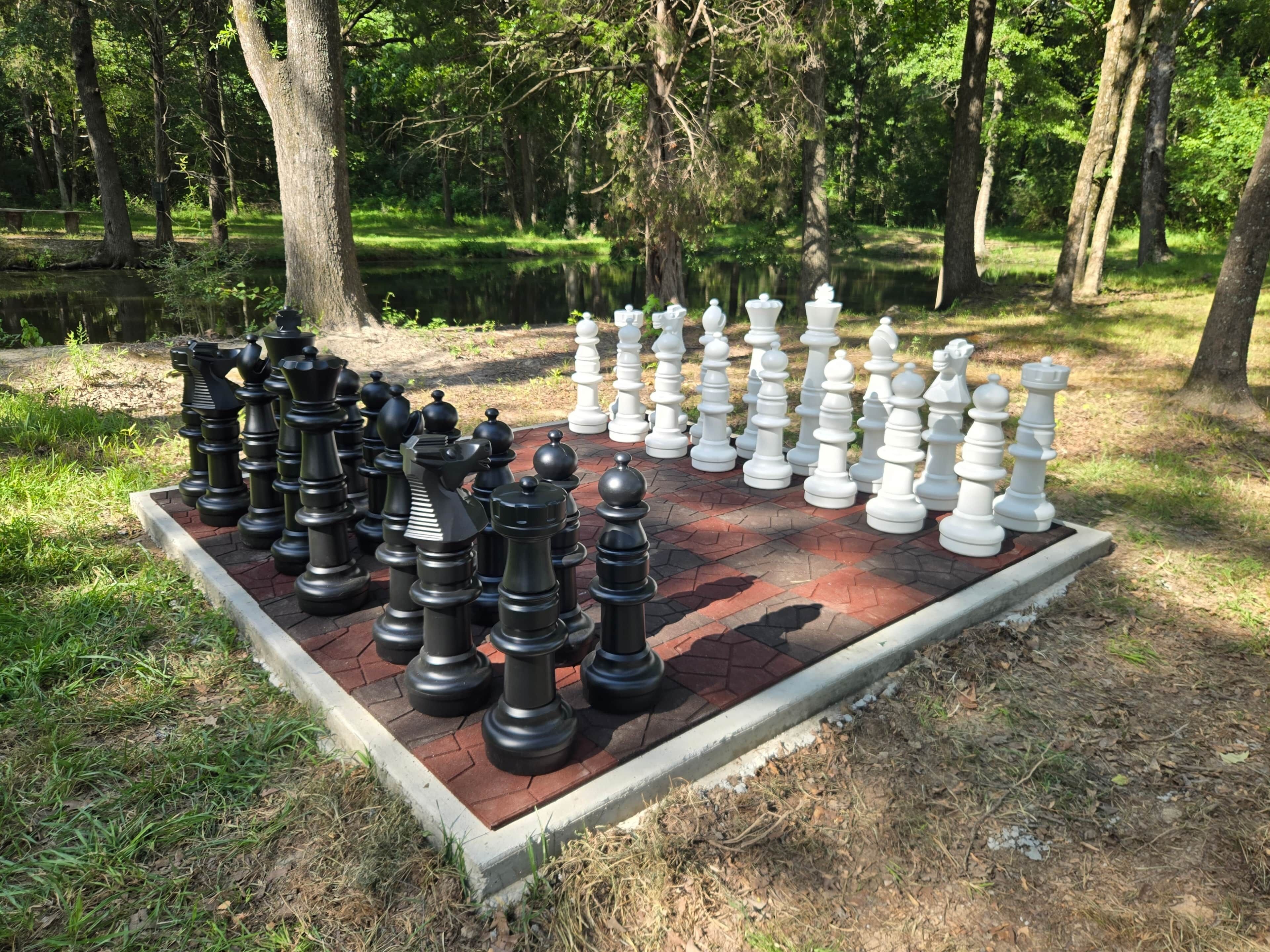 A chessboard set outdoors with trees in the background.