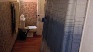 Shower, towels, toilet paper