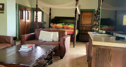 Lion Farm's Eco Villas in 9 Mile Jamaica with Mountain Viewâs