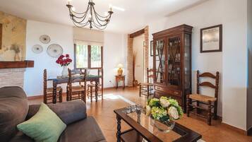 Télévision, cheminée, lecteur de DVD, table de tennis de table