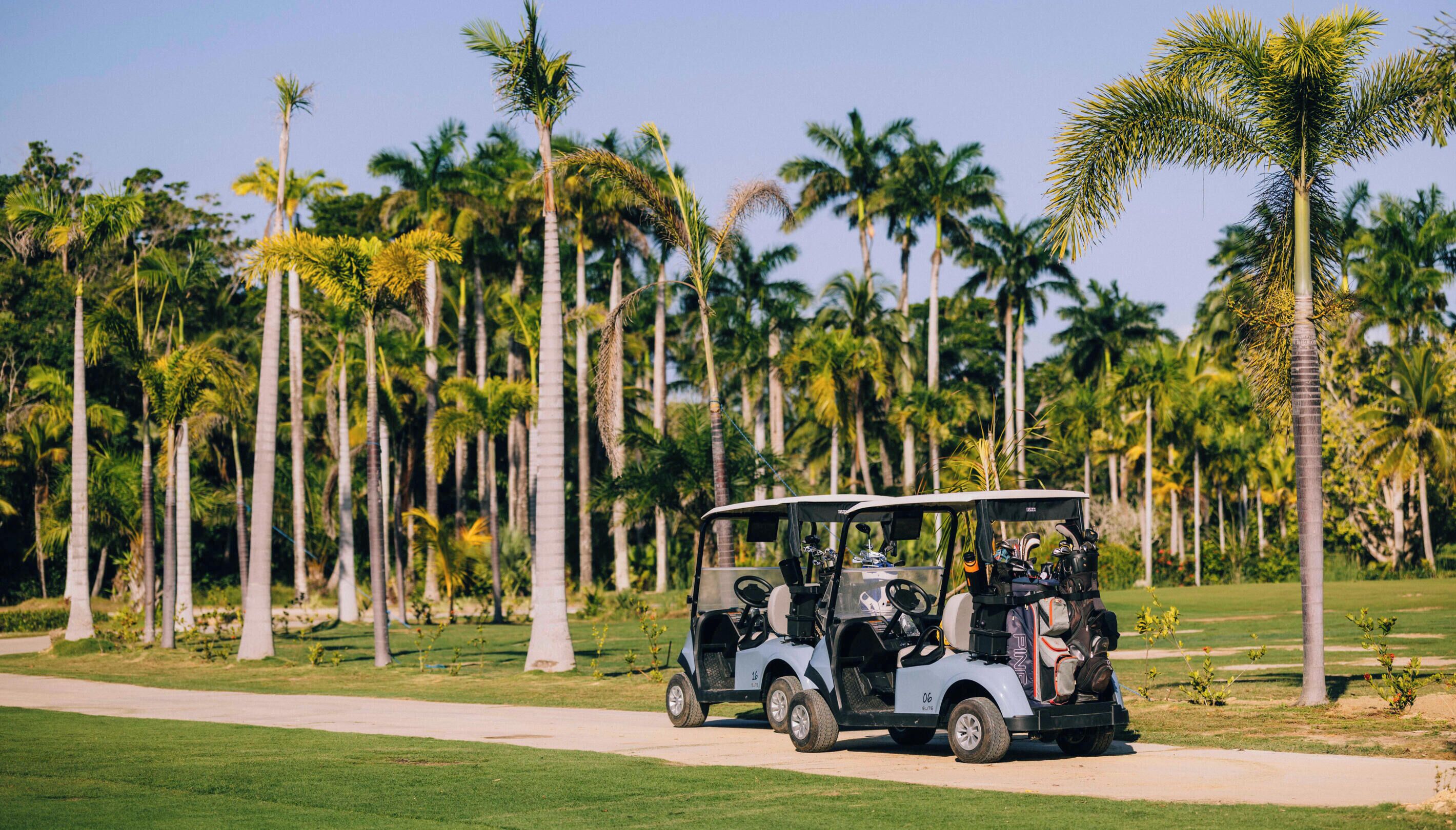 A golf cart on a path with palm trees in the background.