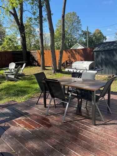 Charming 3 BR Cottage Walk to AOTG and minutes to NRG National Park