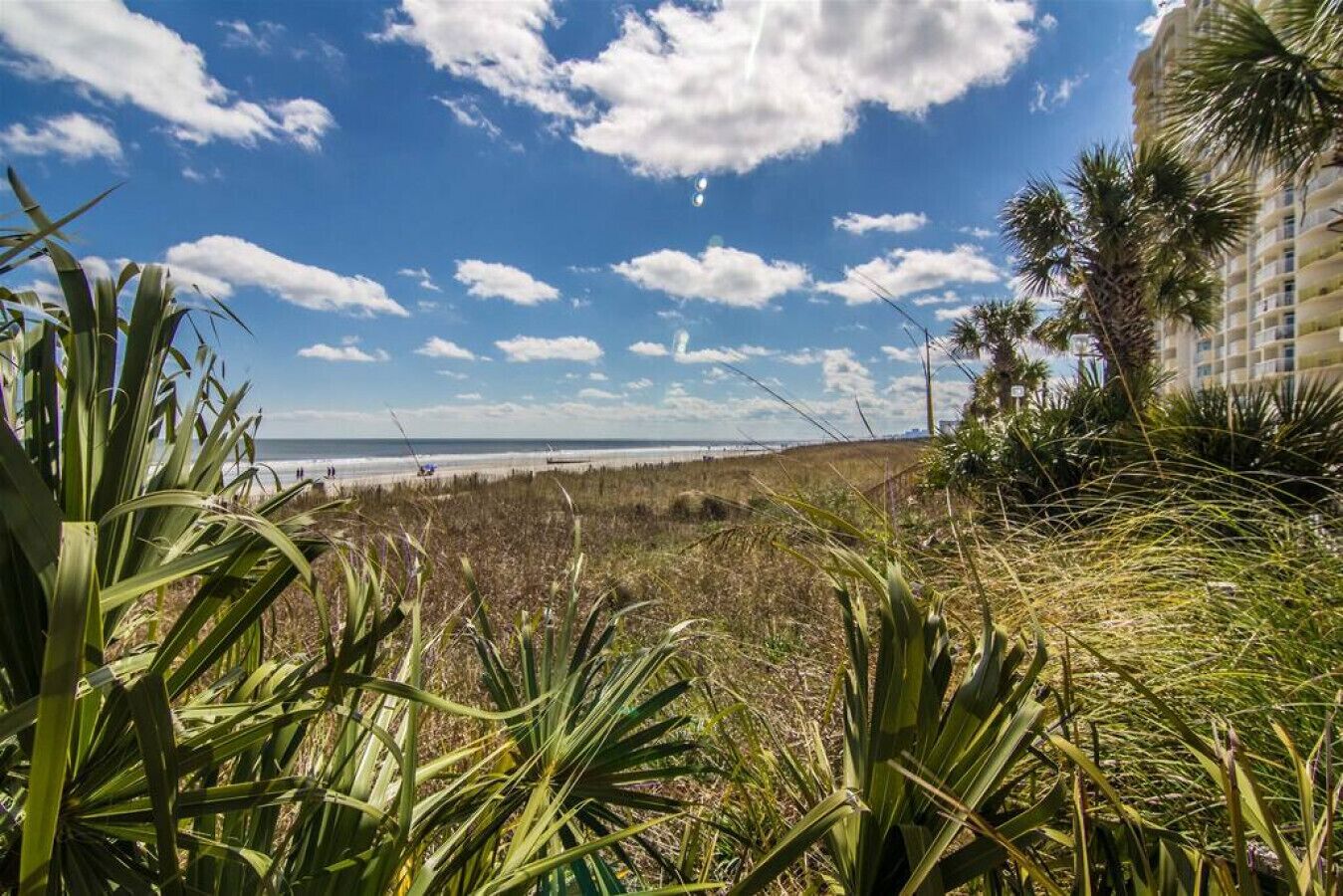 A coastal view with a beach, ocean, and a building with palm trees.
