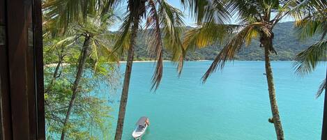 A view from a window overlooking a beach with palm trees, a dock, and a boat.