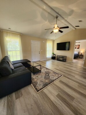 Smart TV, fireplace, books