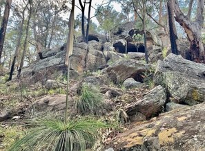 Unclassified image, 3 of 21, button