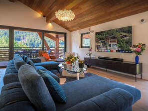TV, video games - Chalet Les Noisettes - alpine holiday 14p with spa - OVO Network (Montriond)