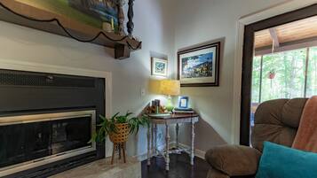 Smart TV, caminetto, libri, biblioteca musicale