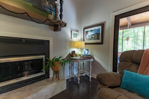 Älytelevisio, takka, kirjoja, musiikkikirjasto