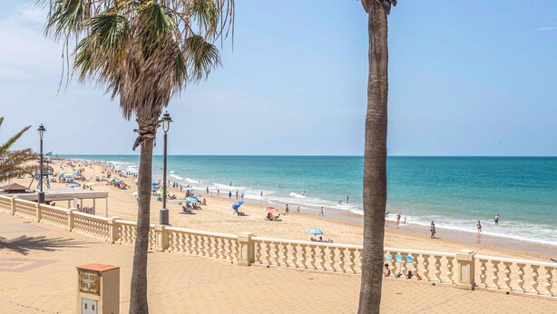 A beach with palm trees, a paved walkway, and umbrellas.