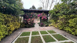 Property grounds - River House (Valle de Bravo)