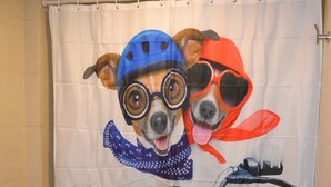 Een badkamer met een douchegordijn waarop een hond op een motorfiets staat afgebeeld.