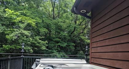 Hot Tub and Game room! Center of Town, walking distance to ball games & College.