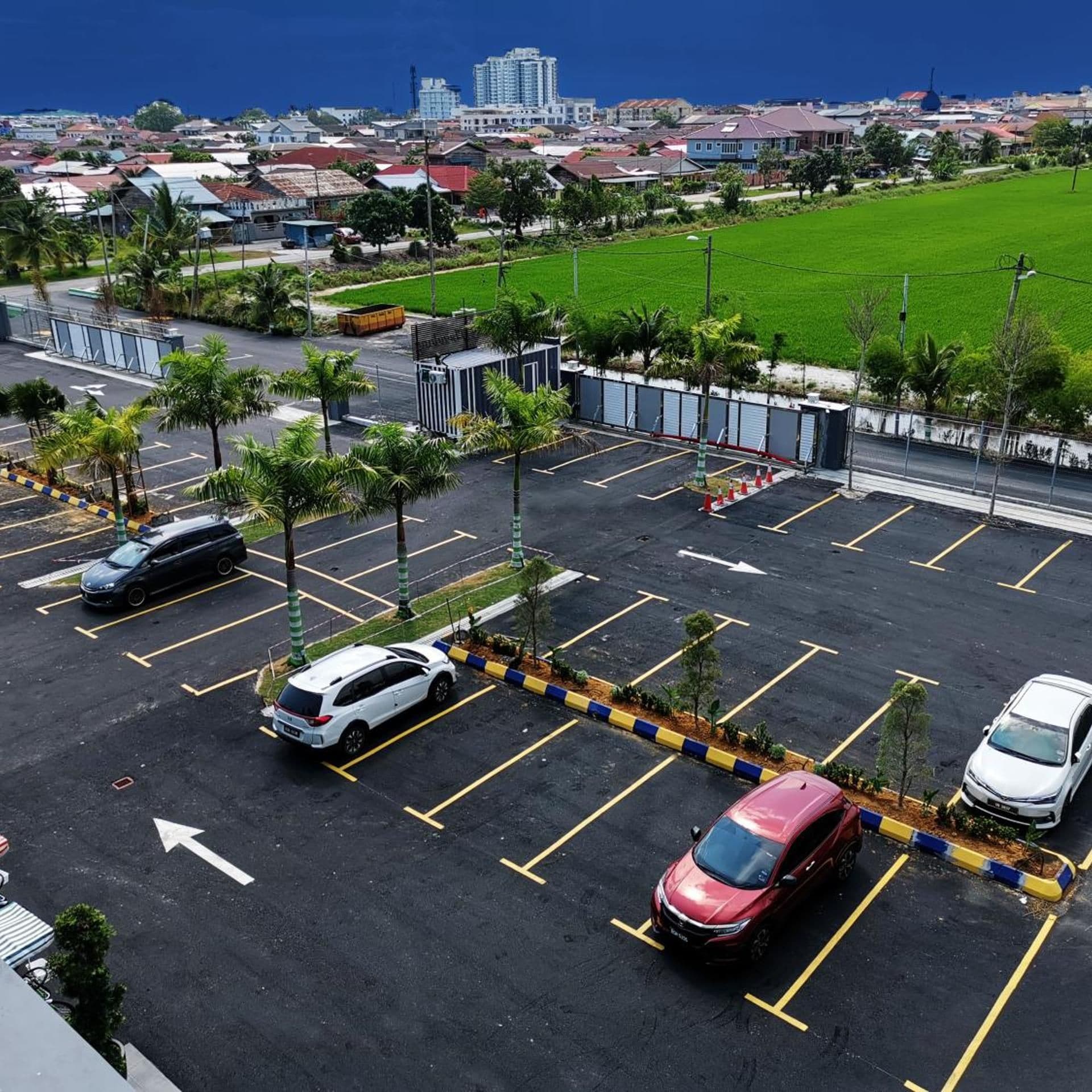 A parking lot with multiple cars, palm trees, and a view of a cityscape in the background.