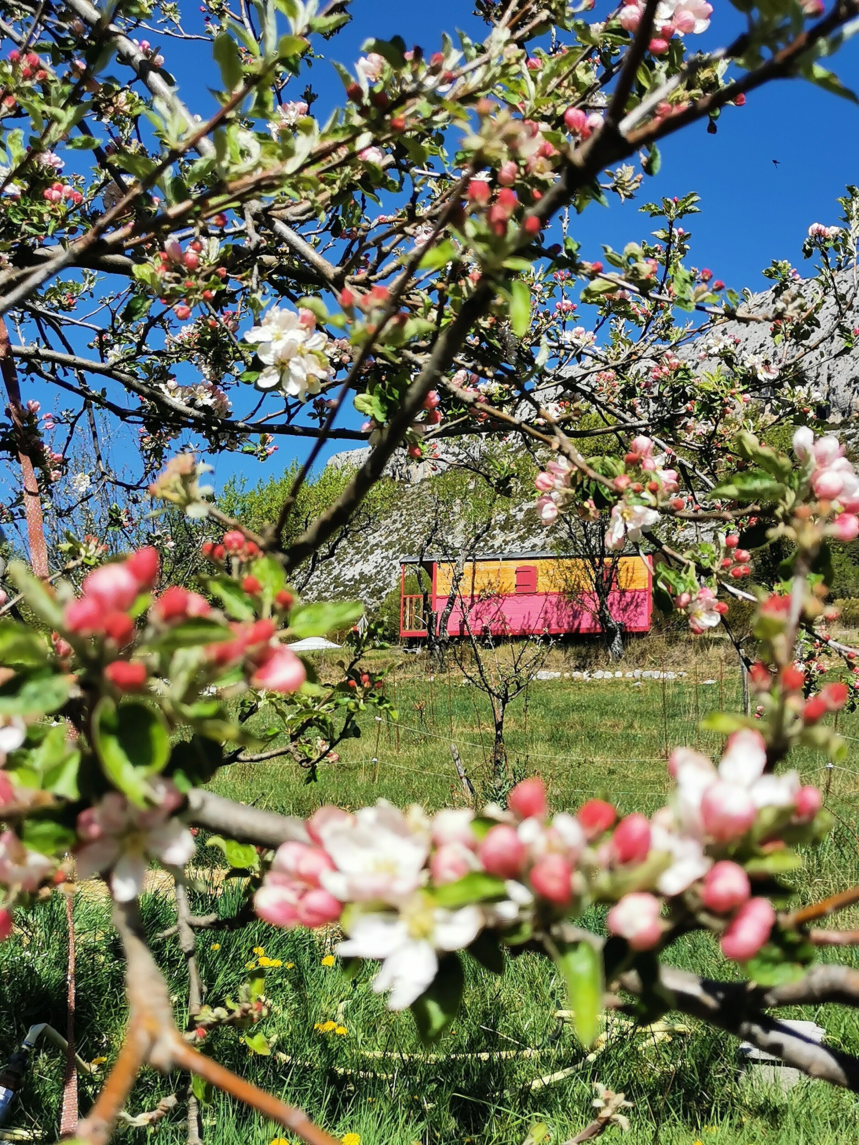 Overnatningsstedets område