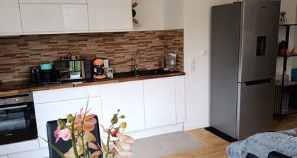 Apartment 'Chez Sibylle Chevreuse Saclay' with Balcony, Wi-Fi and Air Conditioning