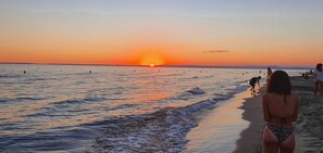Playa en los alrededores