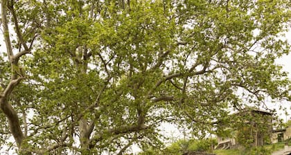 Guest House 'Armoloi Room 1' with Mountain View, Shared Terrace and Wi-Fi