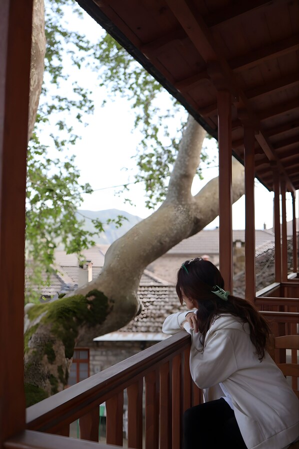 Property grounds - Guest House 'Armoloi Room 3' with Mountain View, Shared Terrace and Wi-Fi (Konitsa)