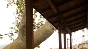 A wooden balcony with a stone wall and a large tree in the background. - Guest House 'Armoloi Room 6' with Mountain View, Shared Terrace and Wi-Fi (Konitsa)