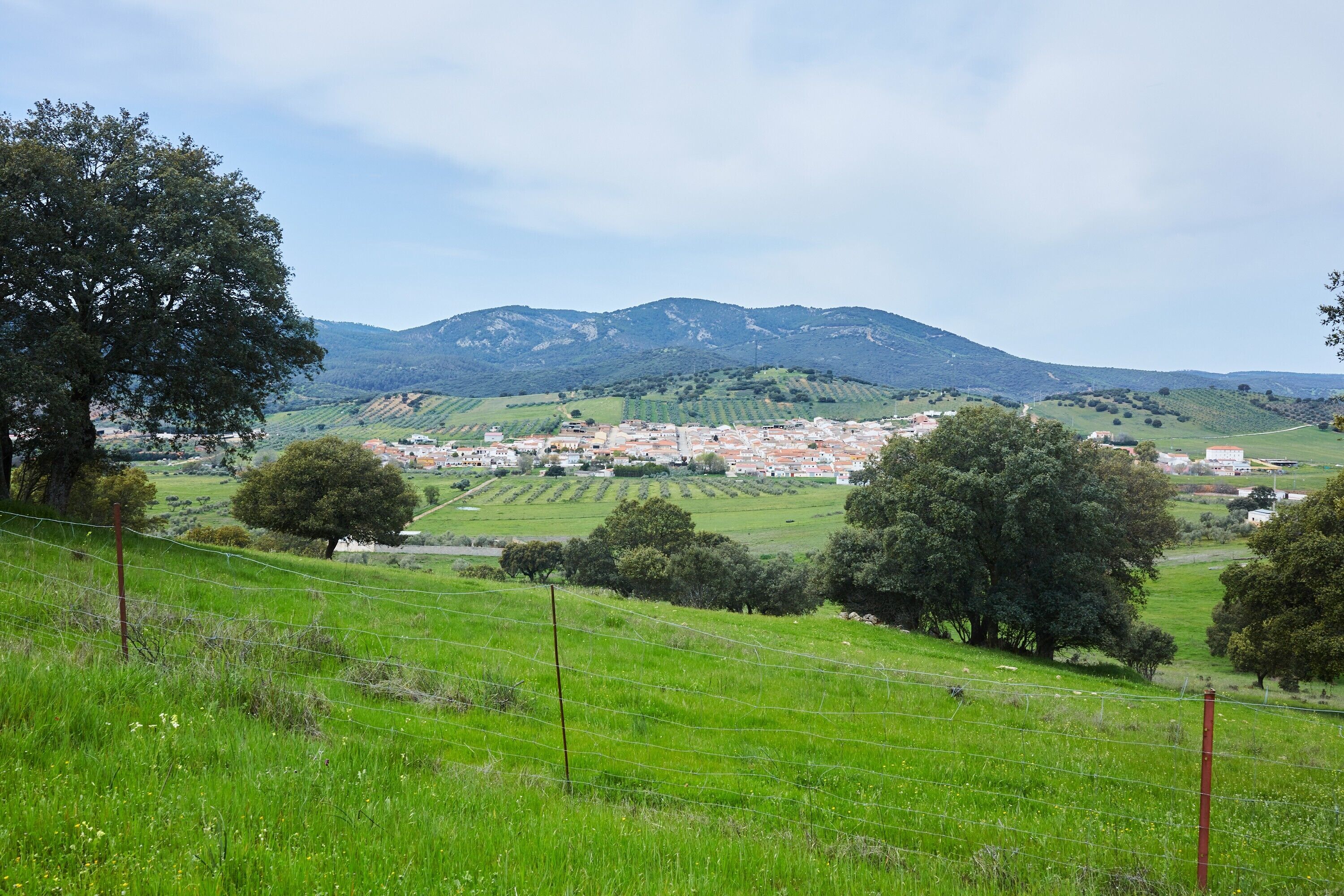 Landskab med en landsby, grønne marker og et bjerg i baggrunden.
