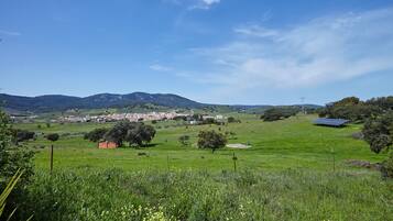 Paisatge rural amb un poble, camps verds i muntanyes al fons.