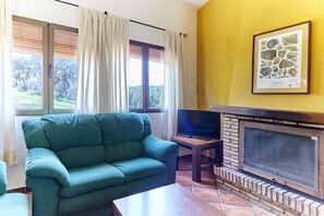 Televisión y chimenea 