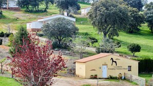 A rural tourist complex with a reception building, surrounded by trees and open fields.