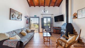 TV, fireplace, ping pong