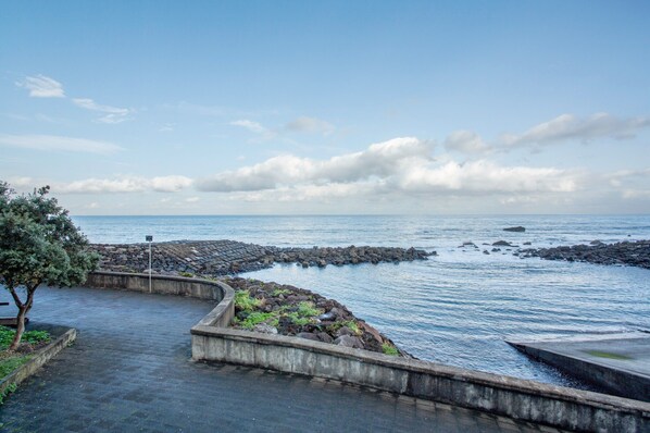 A coastal walkway with a curved stone path, a small tree, and a view of the sea.