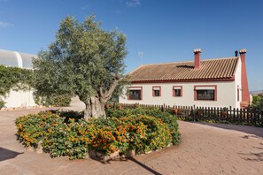 Property grounds - Country House 'La Tinaja' with Mountain View, Wi-Fi and Air Conditioning (Murcia)