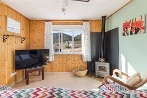 Televisión, chimenea y tenis de mesa 
