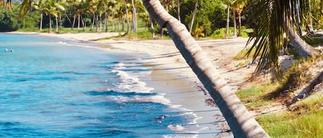 På stranden, solsenger og strandhåndklær
