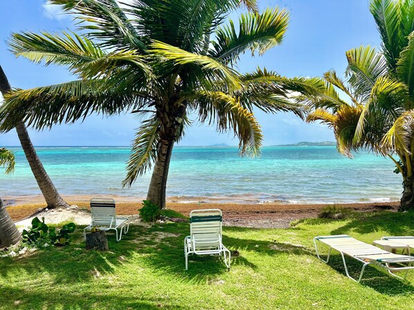 A beach with palm trees, clear turquoise water, and lounge chairs.