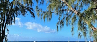 The Beach Eden On The Sea Carlisle Bay Barbados 