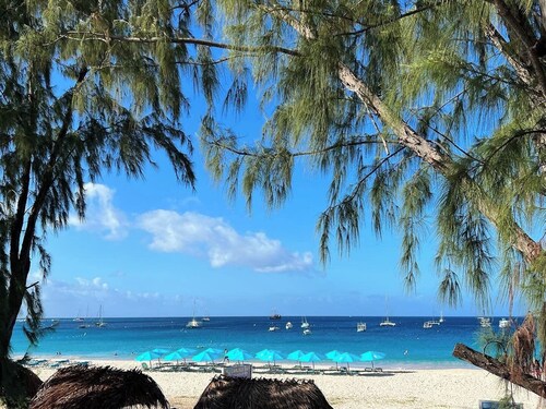 The Bamboo Room Eden Of The Sea  Carlisle  Bay Barbados 