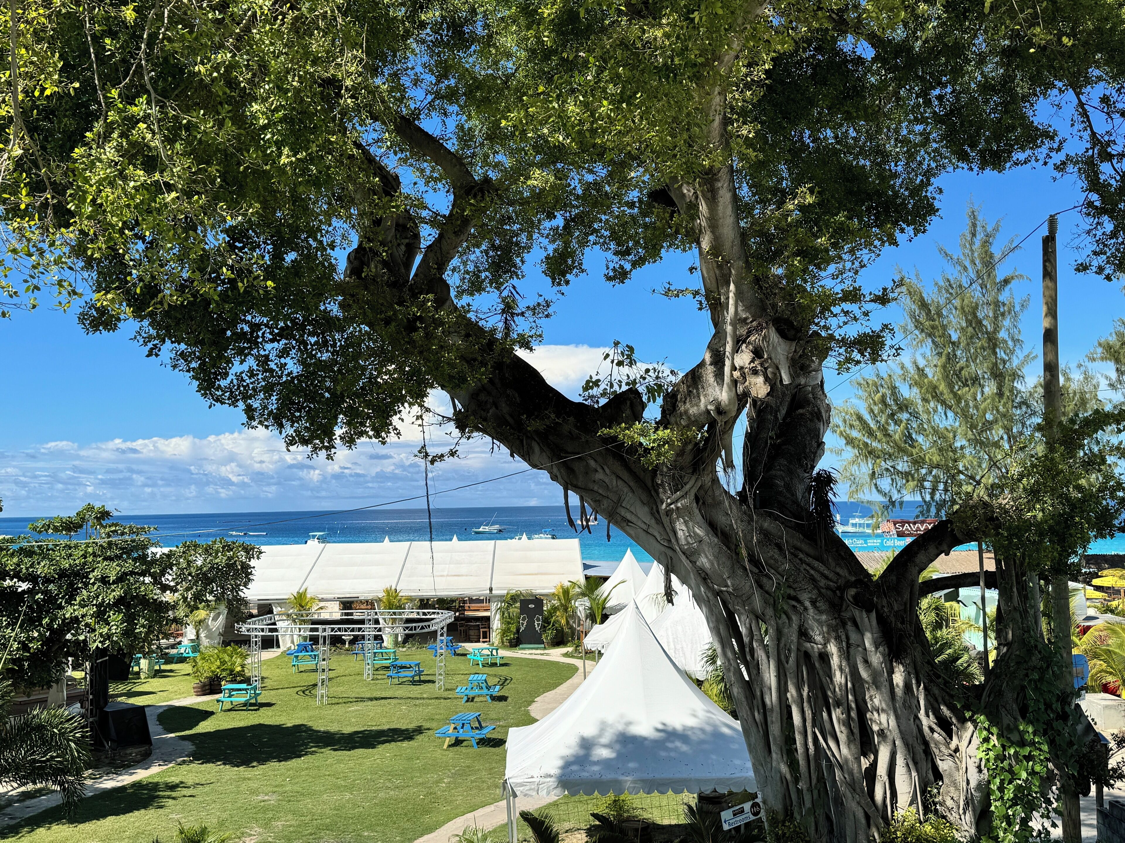 Zona exterior arbolada con mesas de picnic y una carpa blanca, con vistas a una playa con barcos.