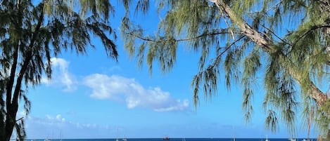 海滩