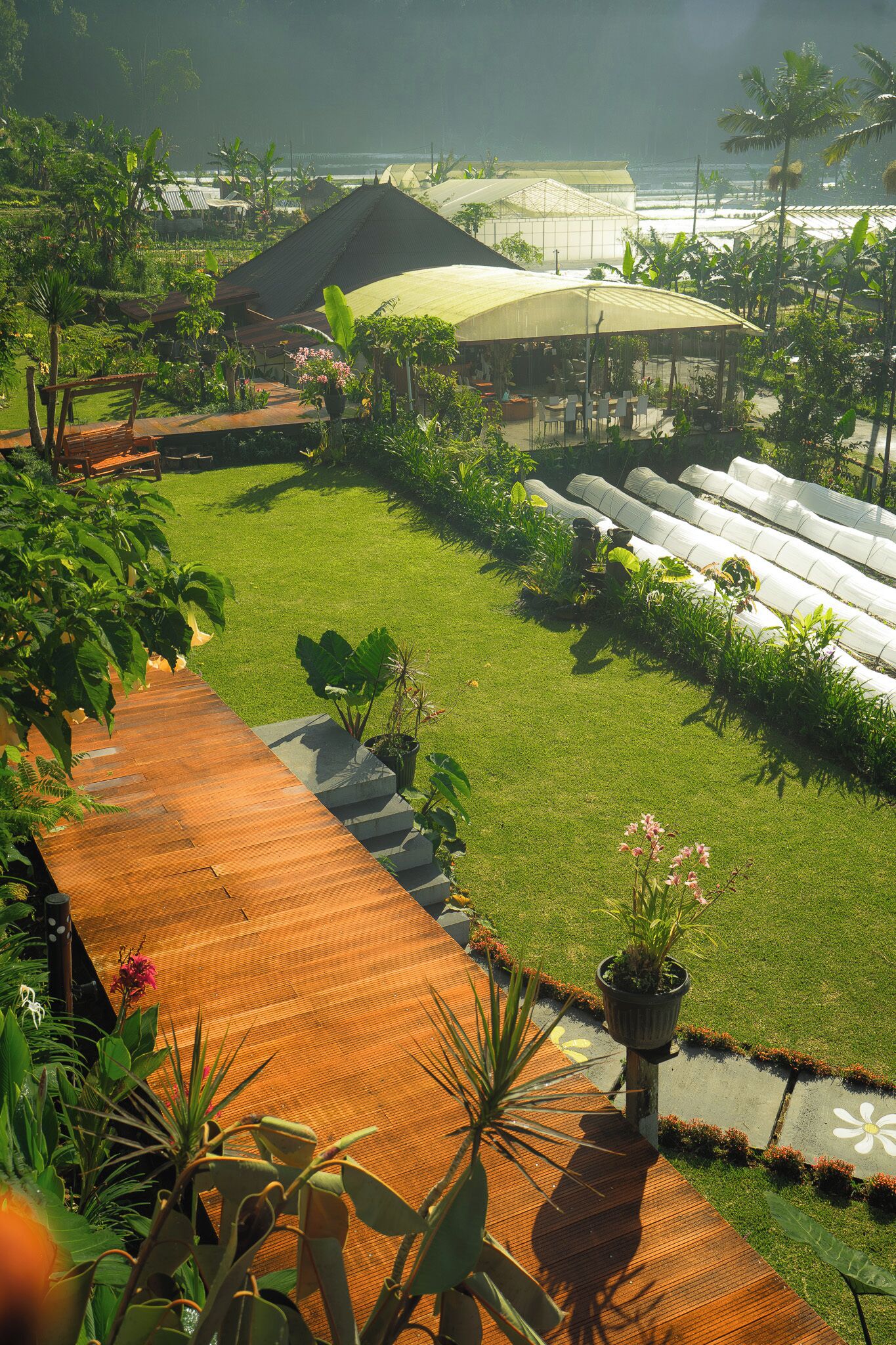 Un jardin luxuriant agrémenté d’une terrasse en bois, de plantes en pot et d’une serre.