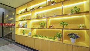 Una zona de recepción con estanterías de madera que exhiben diversos objetos decorativos y plantas.