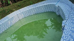Piscina com azulejos azuis em mosaico e superfície de água verde e cristalina.