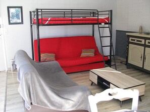 TV, DVD player, books
